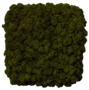 Фитопанель - Стабилизированный мох финский - ягель, цвет коричнево-зеленый для изготовления фитостен и фитопанелей - заказать в ООО ГРИН ТРИ  с доставкой по России - 8(800)500-35-57