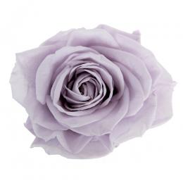 Фитопанель - Стабилизированная роза - цвет лиловый для изготовления фитостен и фитопанелей - заказать в ООО ГРИН ТРИ  с доставкой по России - 8(800)500-35-57