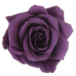 Фитопанель - Стабилизированная роза - цвет фиолетовый для изготовления фитостен и фитопанелей - заказать в ООО ГРИН ТРИ  с доставкой по России - 8(800)500-35-57